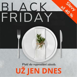 🔥 Poslední den Black Friday se slevami až 40 %! ⏳ Nepropásněte možnost pořídit si krásné kousky českého porcelánu za...